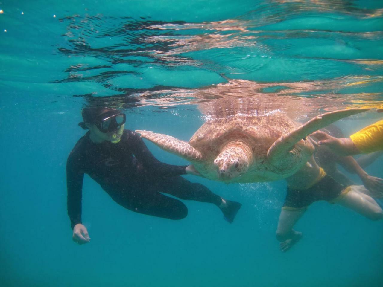 Perhentian Chomel Chalet Kültér fotó